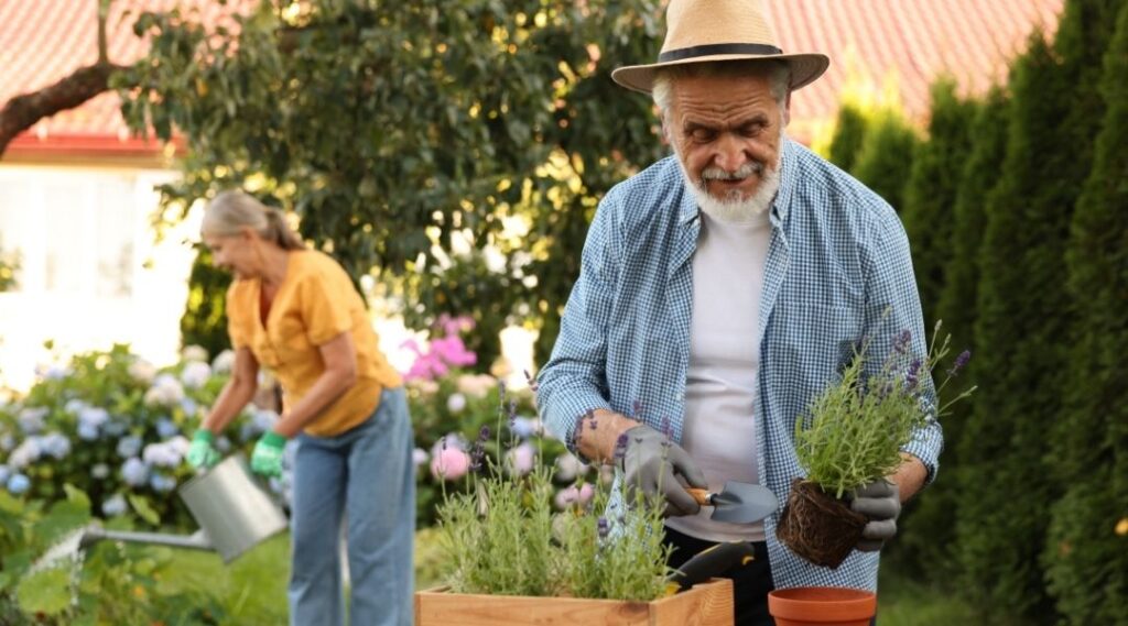 idées d’ateliers printemps pour seniors jardinages