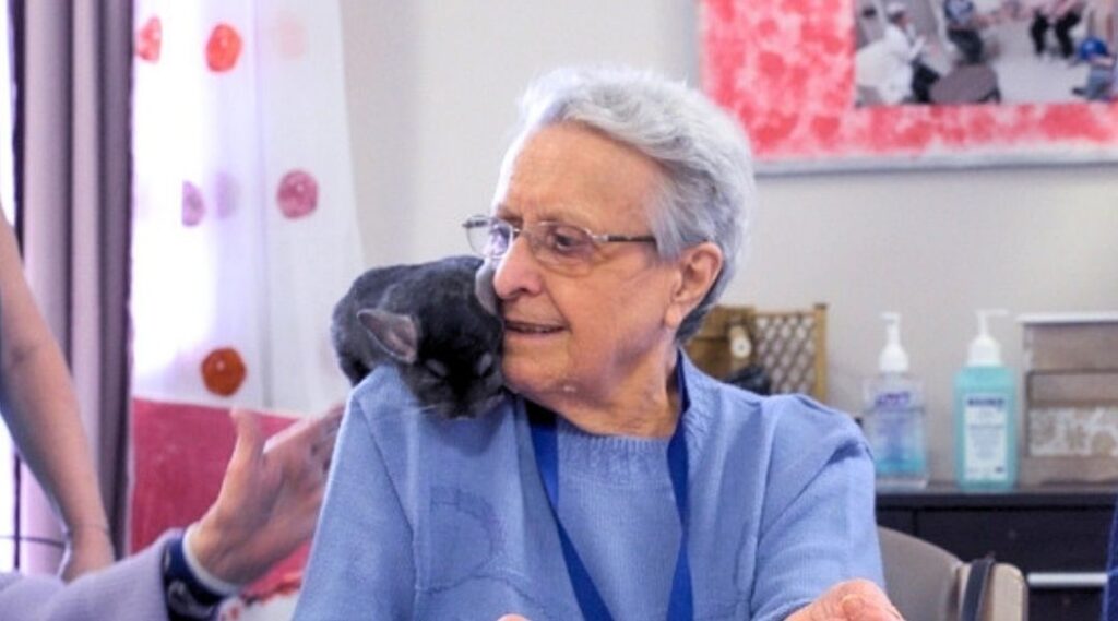 médiation animale des lapins en résidence senior