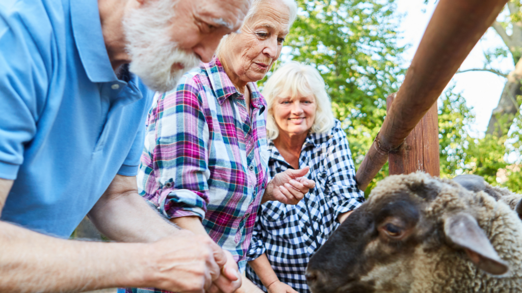 des-seniors-lors-de-l-atelier-visite-ferme-pedagogique-pour-ehpad-et-residence-senior