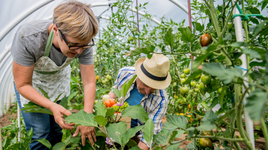 des-seniors-dans-un-atelier-jardinage-senior-ehpad