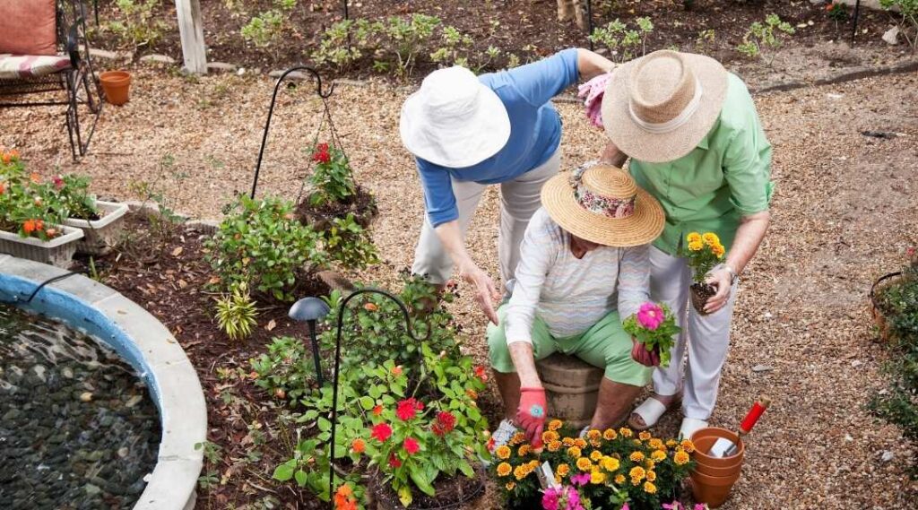 des-seniors-lors-de-la-atelier-jardinage-neosilver
