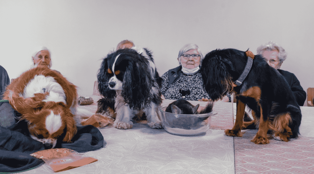 un-groupe-de-seniors-en-résidence-interagissant-autour-d-une-table-avec-des-petits-chiens-blanc-et-noir