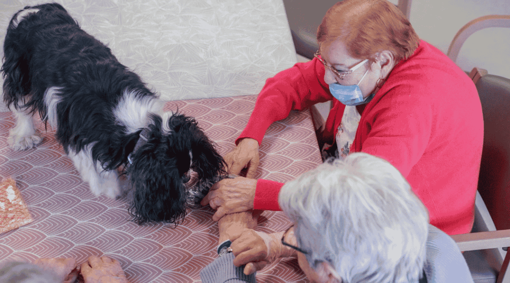 groupe-de-seniors-autour-d-une-table-partagée-avec-des-chiens-Cavalier-King-Charles-et-un-chinchilla